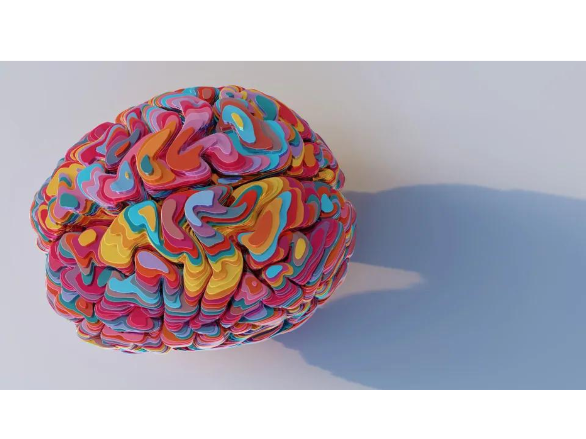 Study Is First To Use Post-Mortem Human Brain Tissue To Investigate ADHD