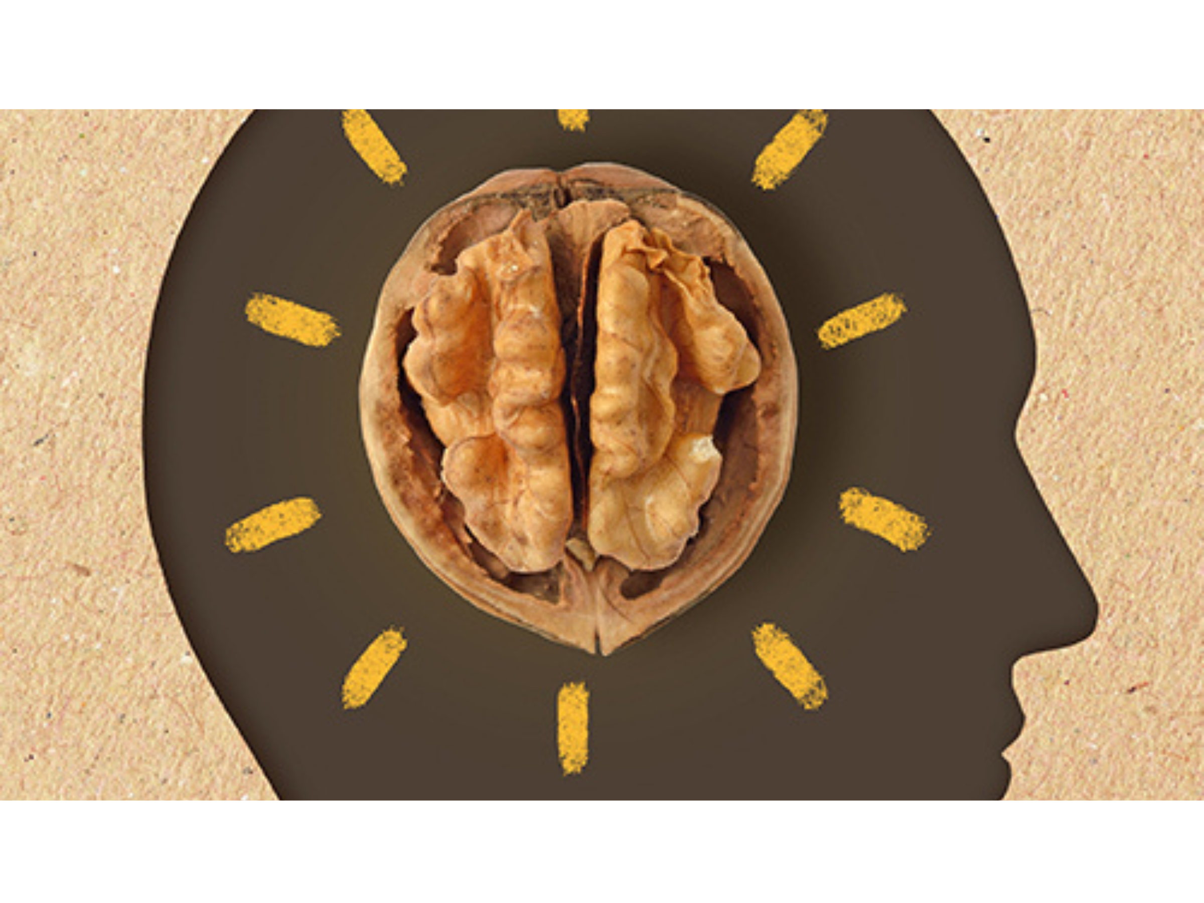 Walnuts the new brain food for stressed university students