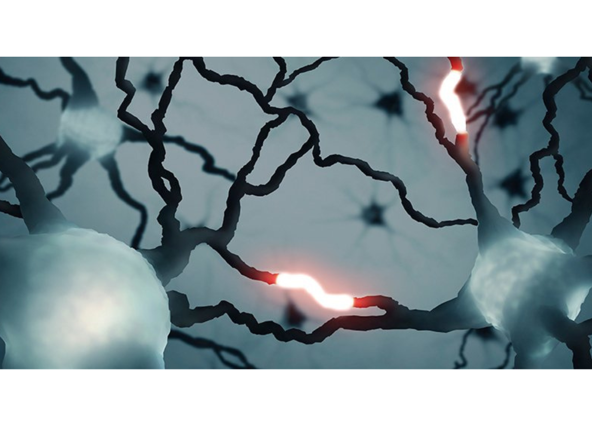 A First-of-Its-Kind Signal Has Been Detected in The Human Brain