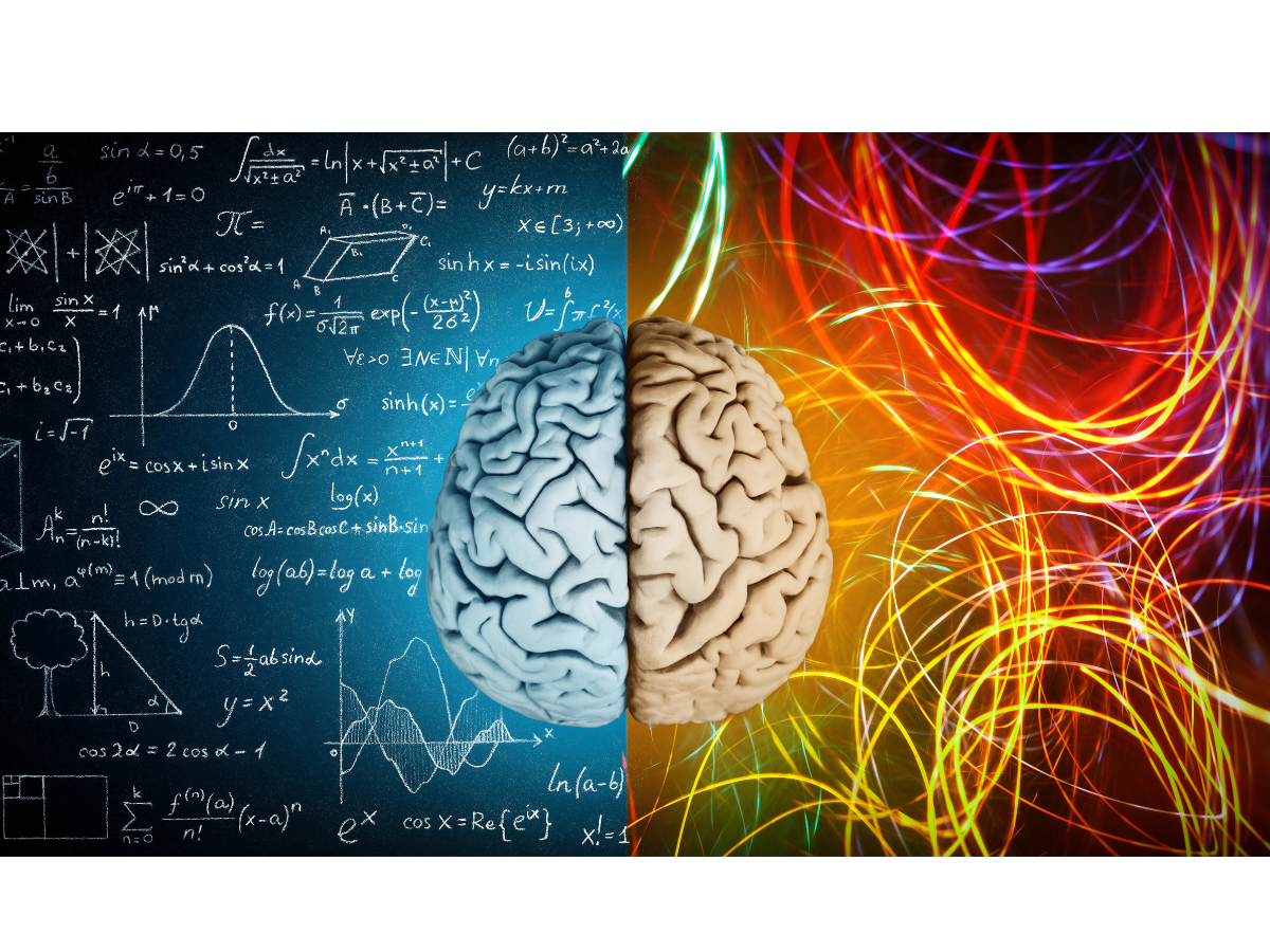 Unlock Your Brain’s Potential: Join Elite Performance Solutions’ Elite Brain Study
