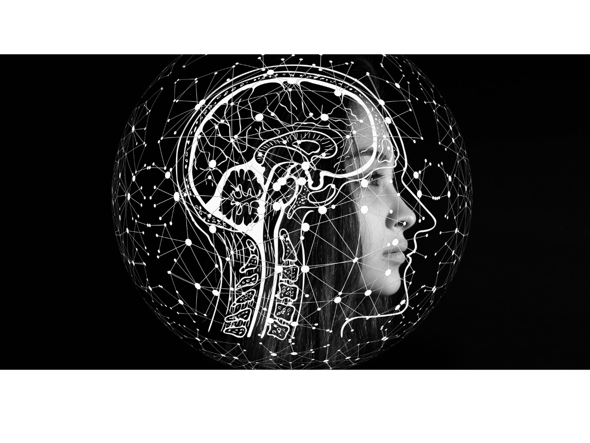 Exercise and the Brain: The Neuroscience of Fitness Explore